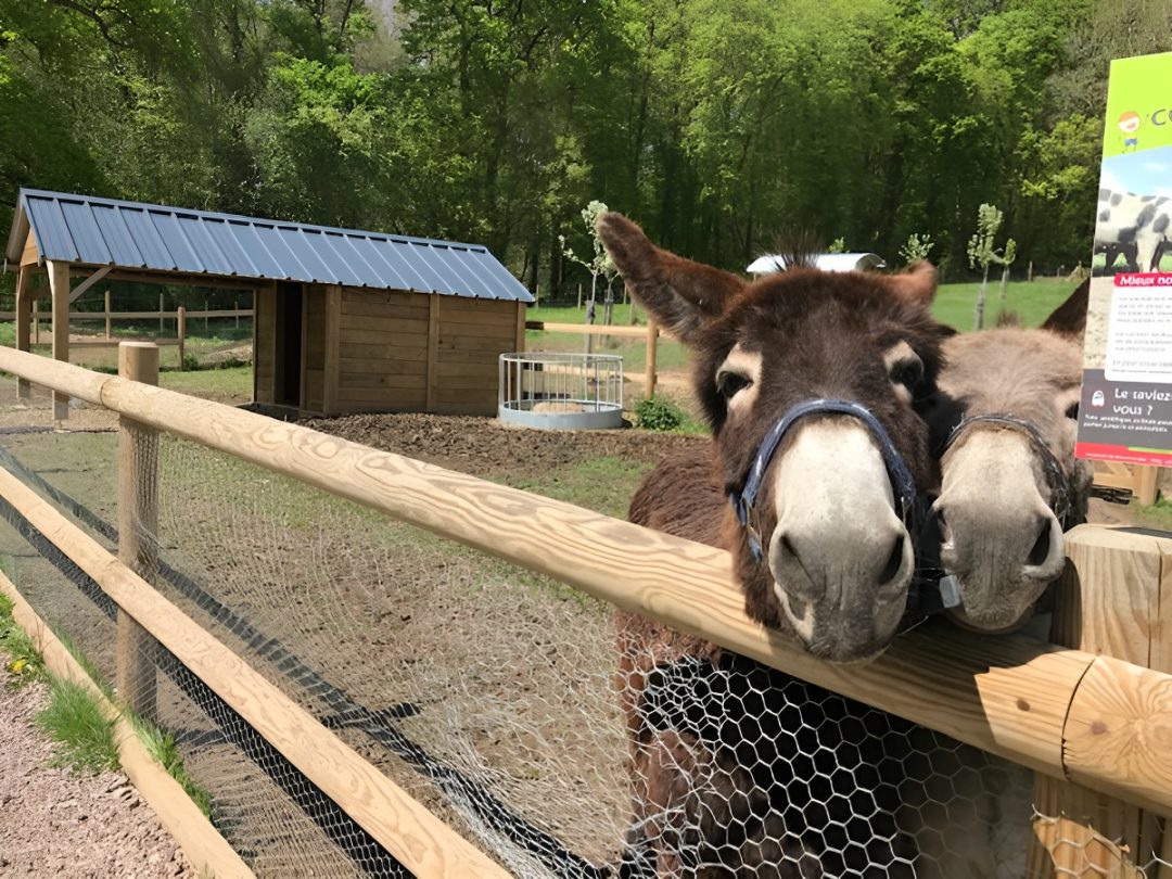 Photo 2 — Bavent, Calvados (14860)