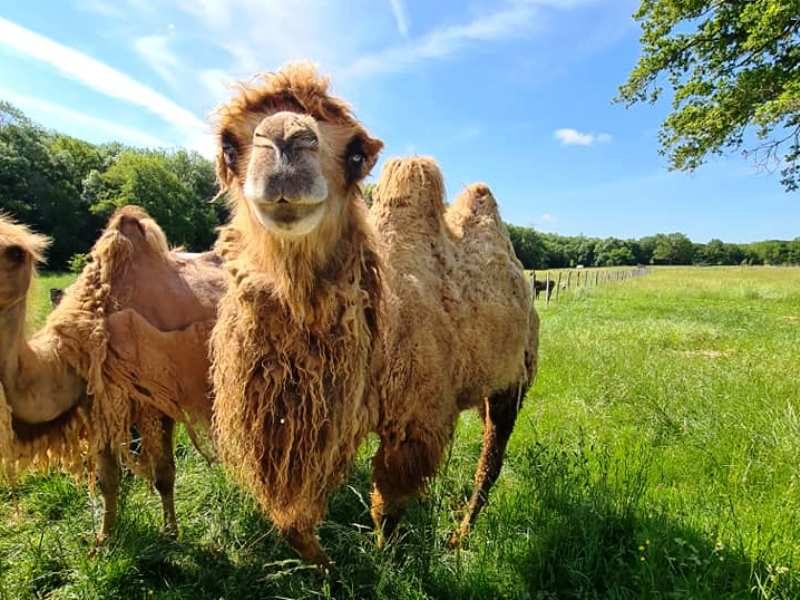 Photo 2 — Charenton-du-Cher, Cher (18210)