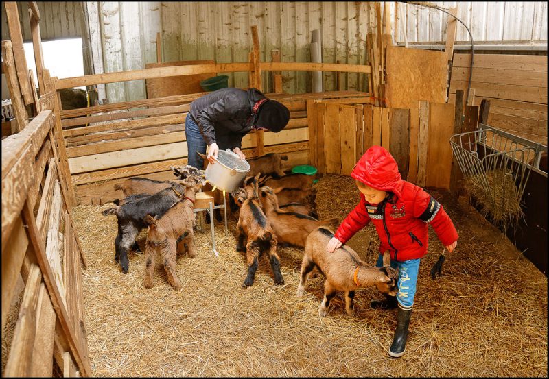 Photo 2 — Saint-Laurent, Cher (18330)