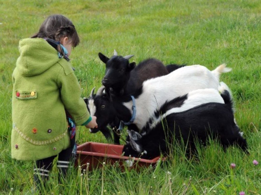 Photo 2 — Lanteuil, Corrèze (19190)