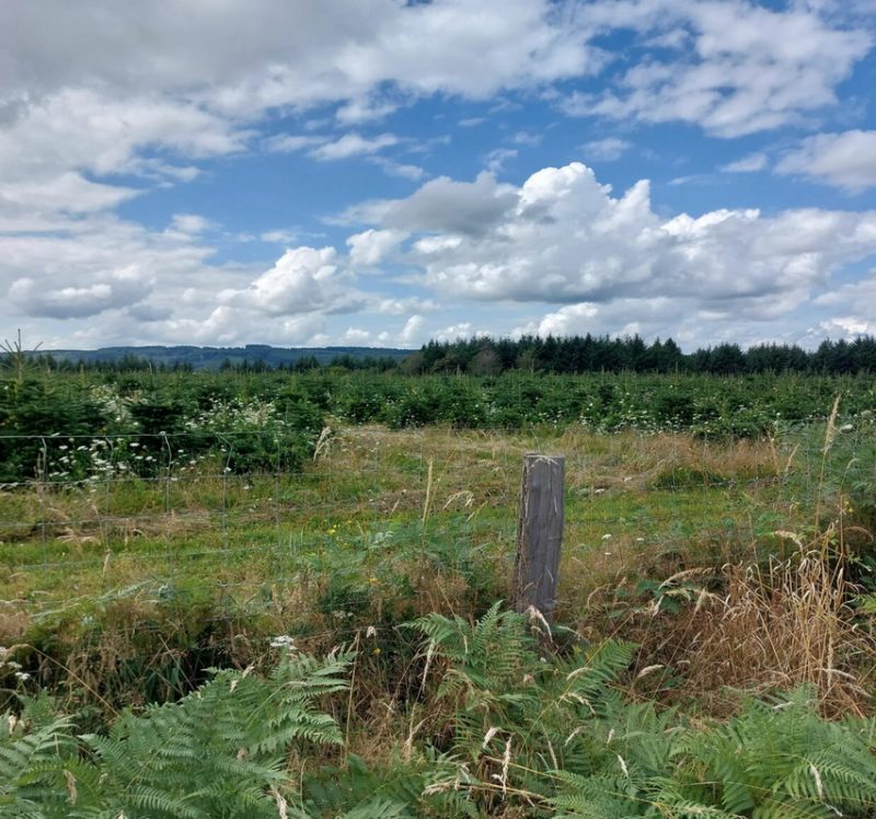 Photo 2 — Champeau-en-Morvan, Côte-d'Or (21210)