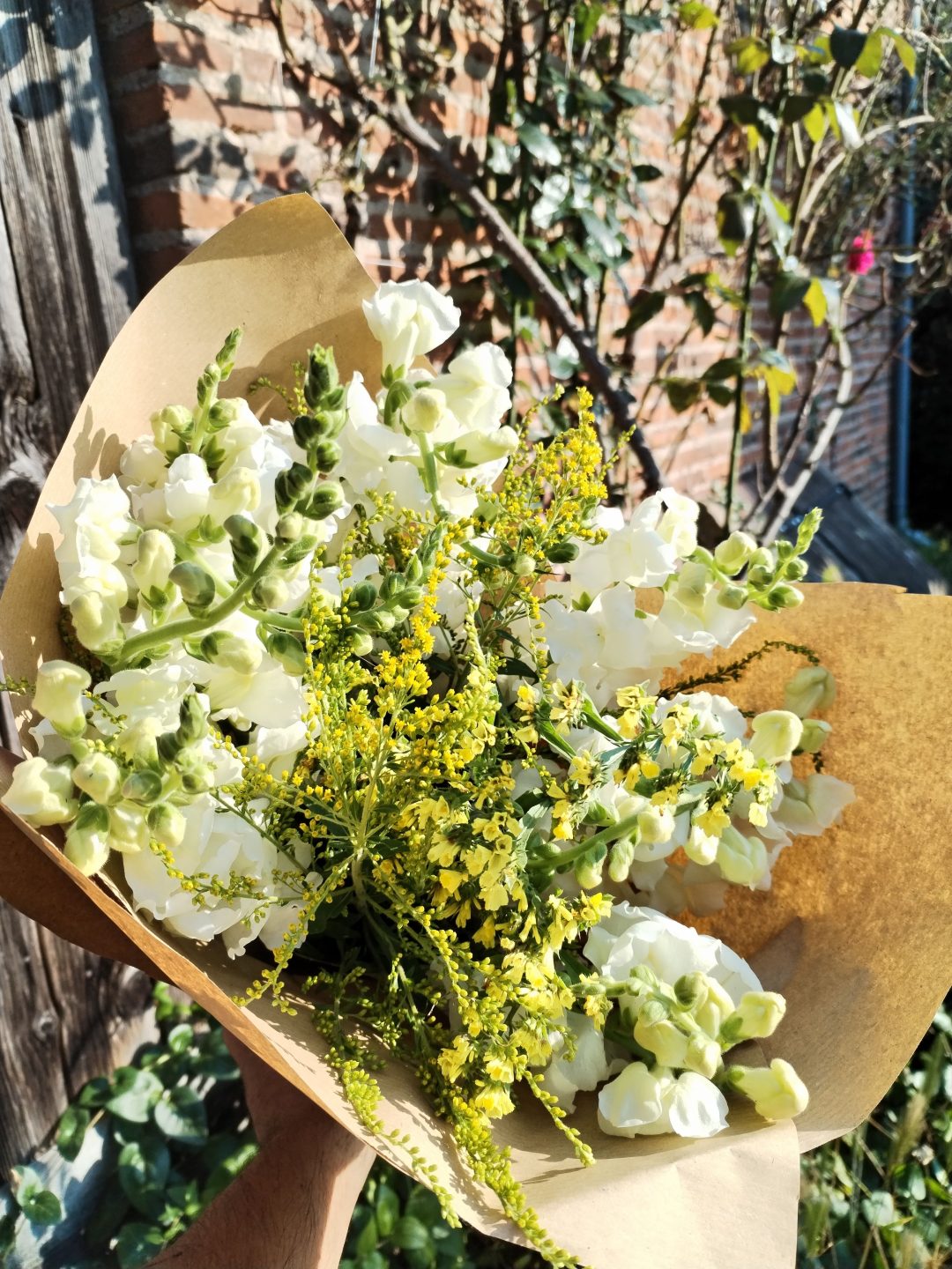 Photo 2 — Pagny-le-Château, Côte-d'Or (21250)