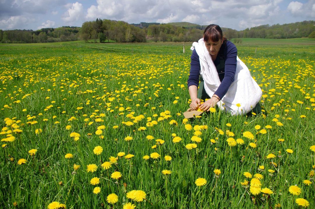 Maisonnisses, Creuse