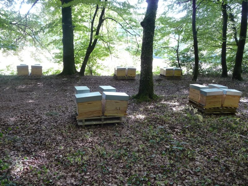 Montaigut-Le-Blanc, Creuse