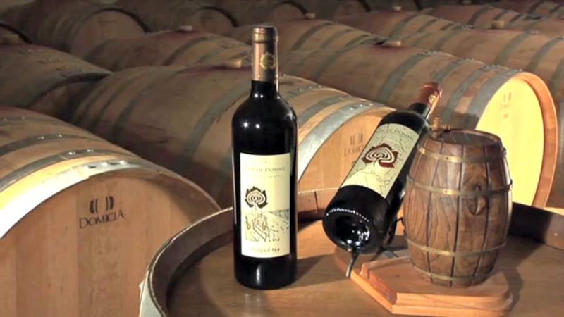 Photo 2 — Florimont-Gaumier, Dordogne (24250)