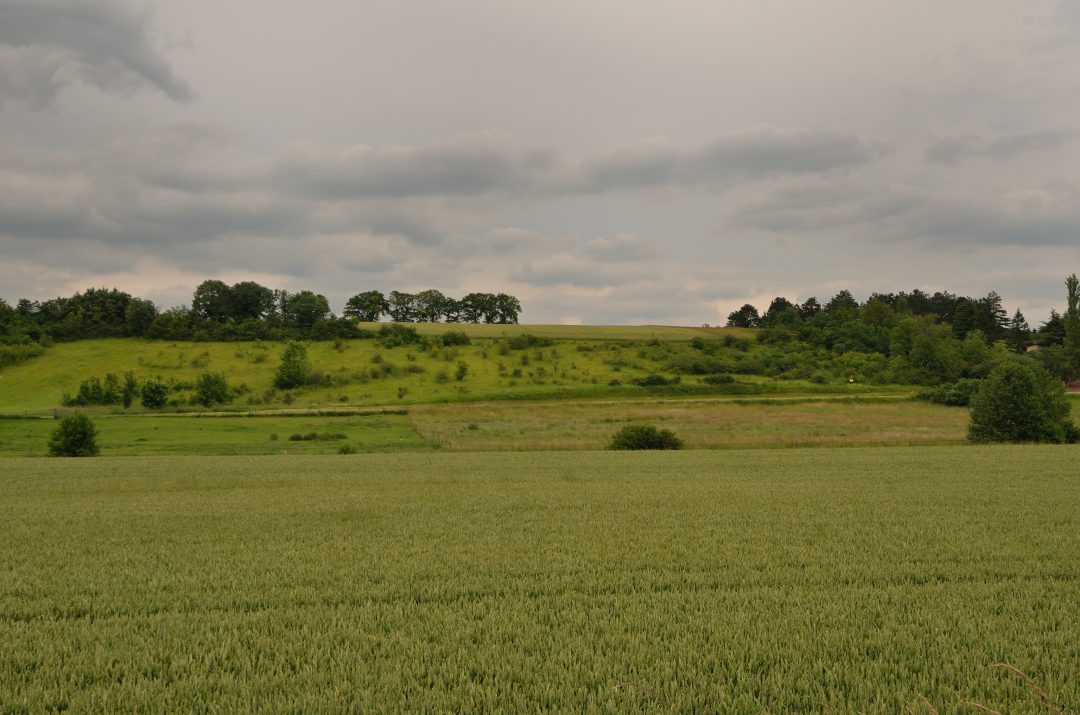 Photo 2 — Auneau-Bleury-Saint-Symphorien, Eure-et-Loir (28700)