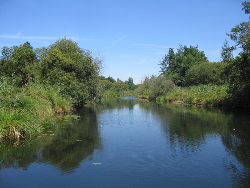 Donnemain-Saint-Mamès