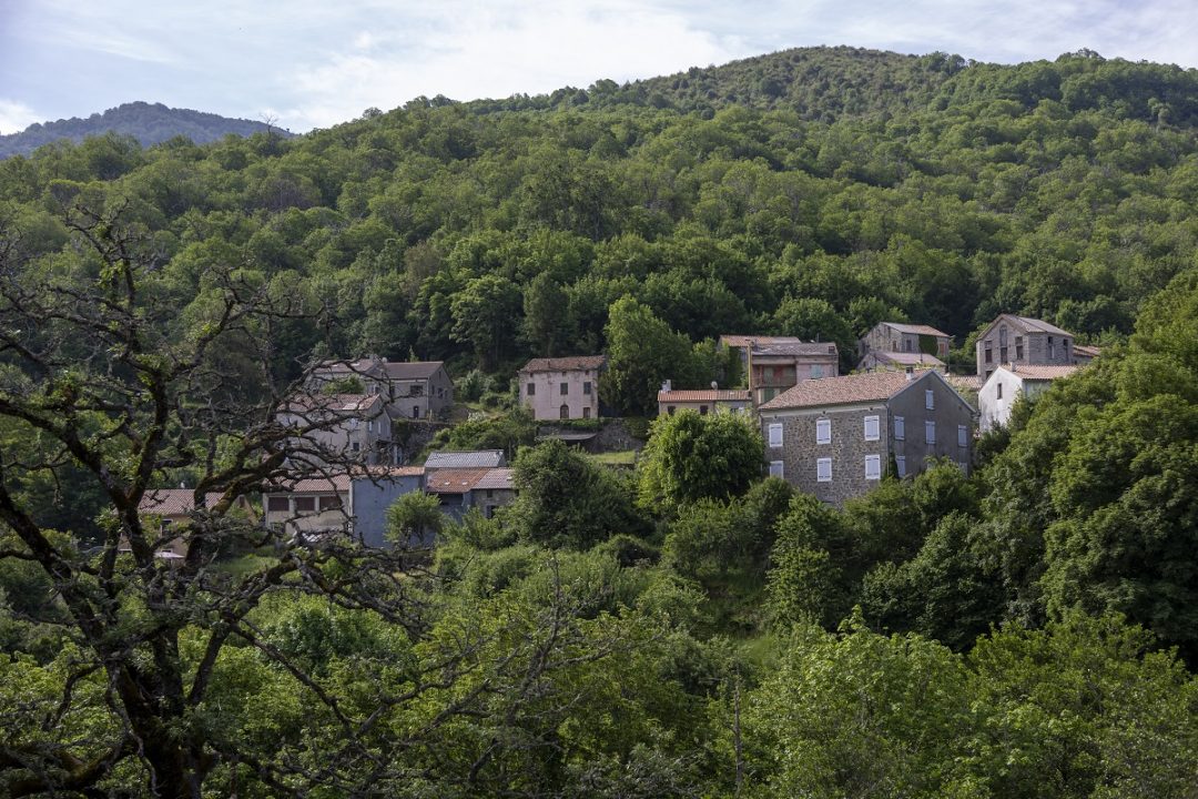 Bastelicaccia, Corse-du-Sud