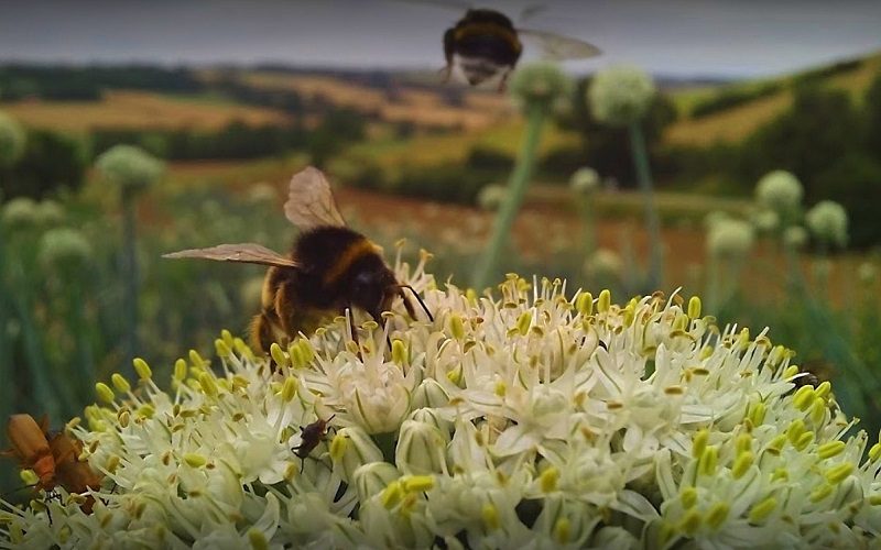 Bellesserre, Haute-Garonne