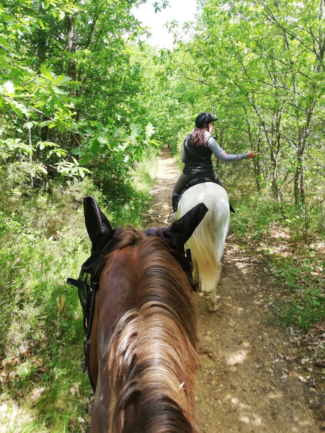 Photo 2 — Bouloc, Haute-Garonne (31620)