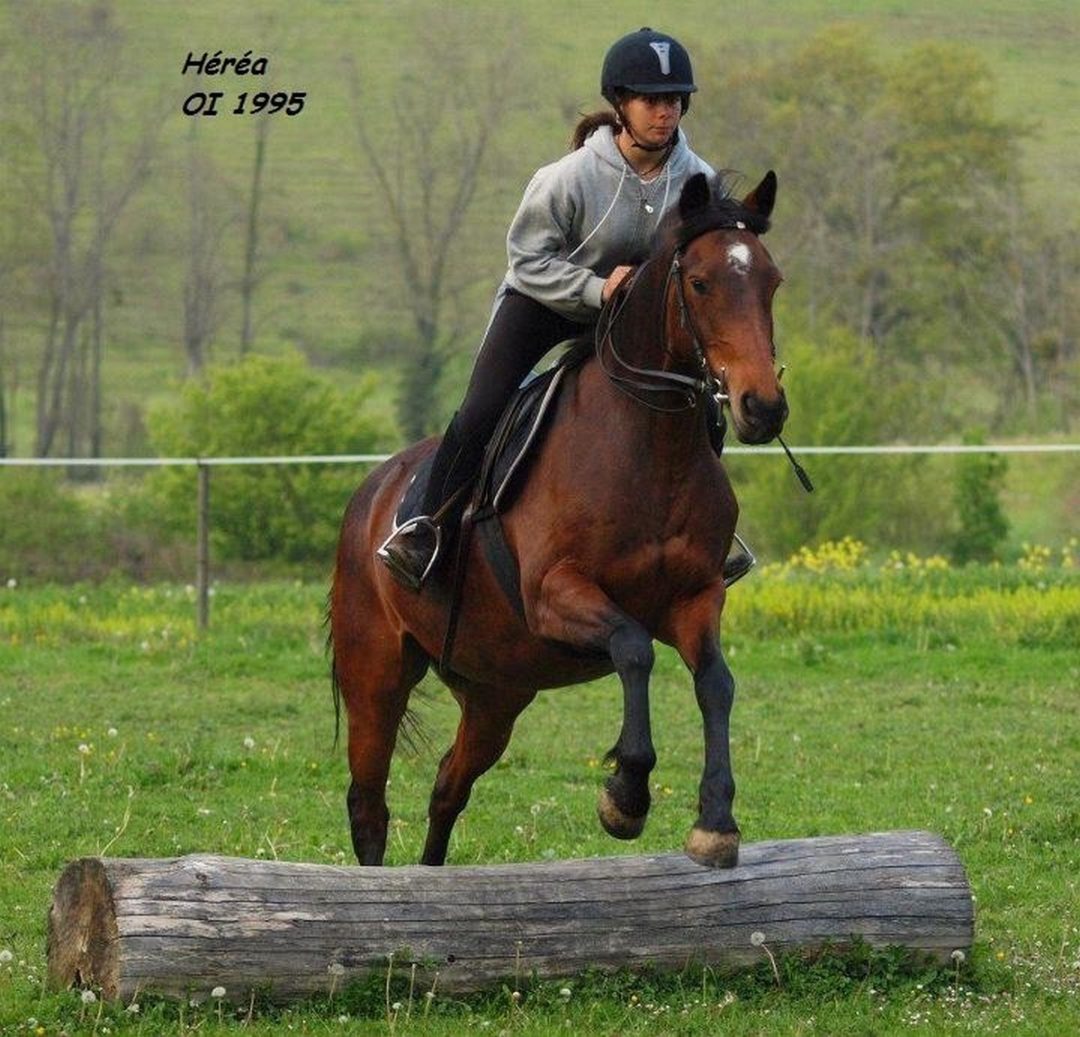 Photo 2 — Gouzens, Haute-Garonne (31310)