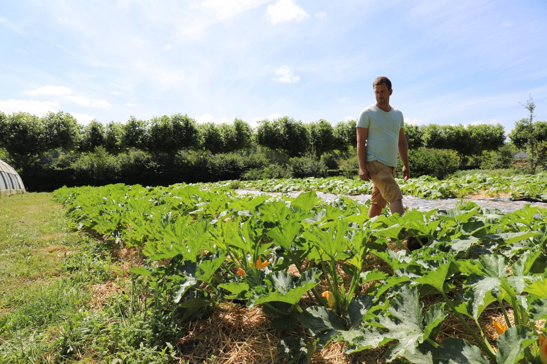 Photo 2 - L'isle-en-Dodon, Haute-Garonne (31230)