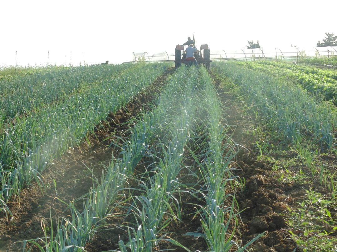 Photo 2 — Lagarde, Haute-Garonne (31290)