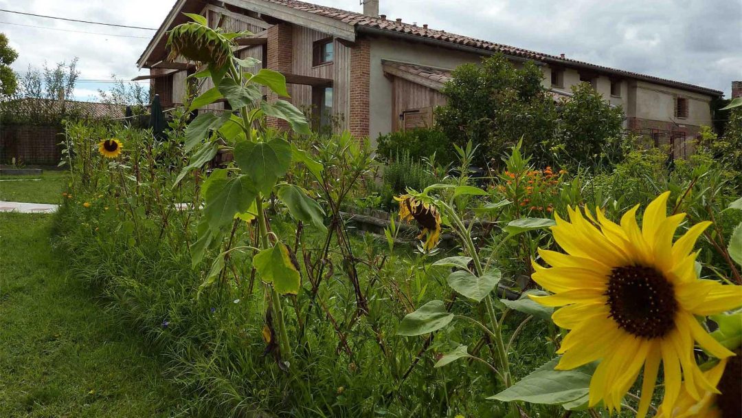 Photo 2 — Lavalette, Haute-Garonne (31590)