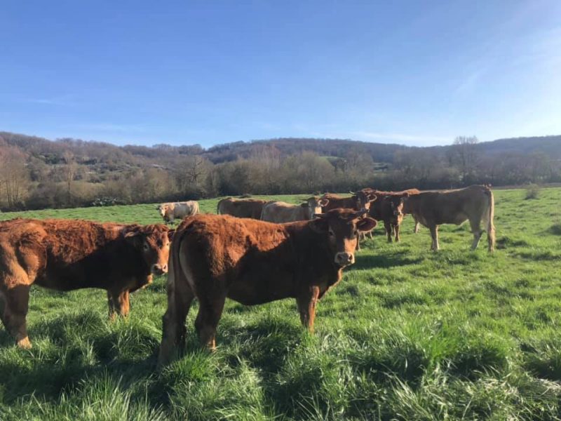 Photo 2 — Lescuns, Haute-Garonne (31220)