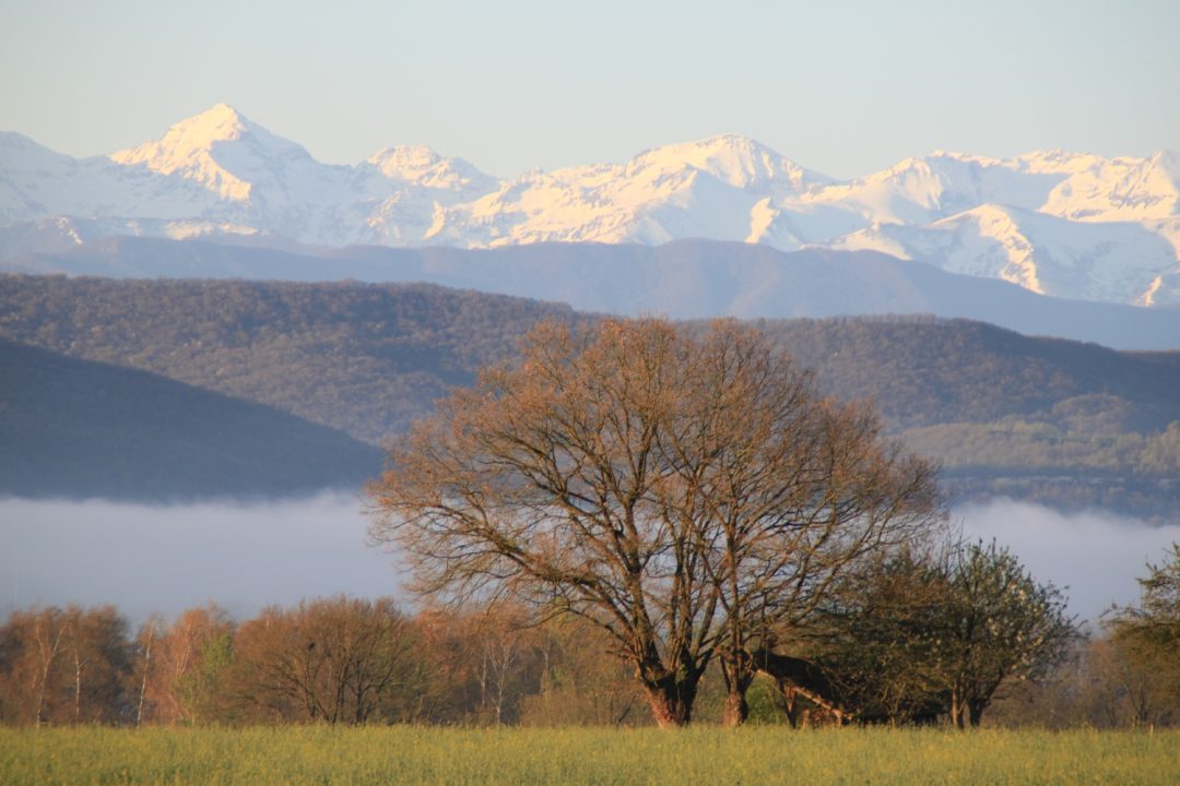 Photo 2 — Mondavezan, Haute-Garonne (31220)