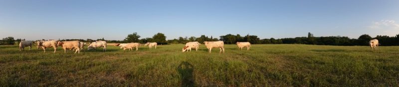 Photo 2 — Vallesvilles, Haute-Garonne (31570)