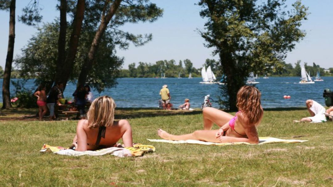 Photo 2 — Bruges, Gironde (33520)