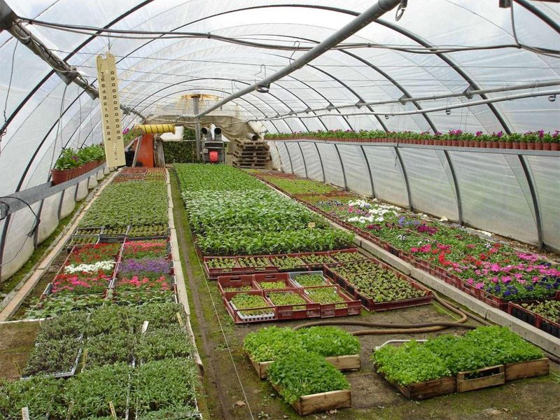 Photo 2 — Le Blanc, Indre (36300)