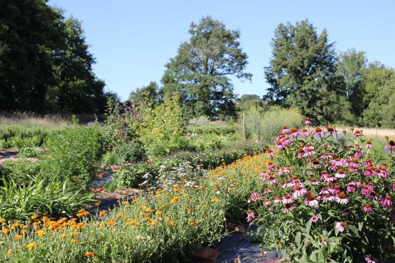 Photo 2 — Fougerolles, Indre (36230)