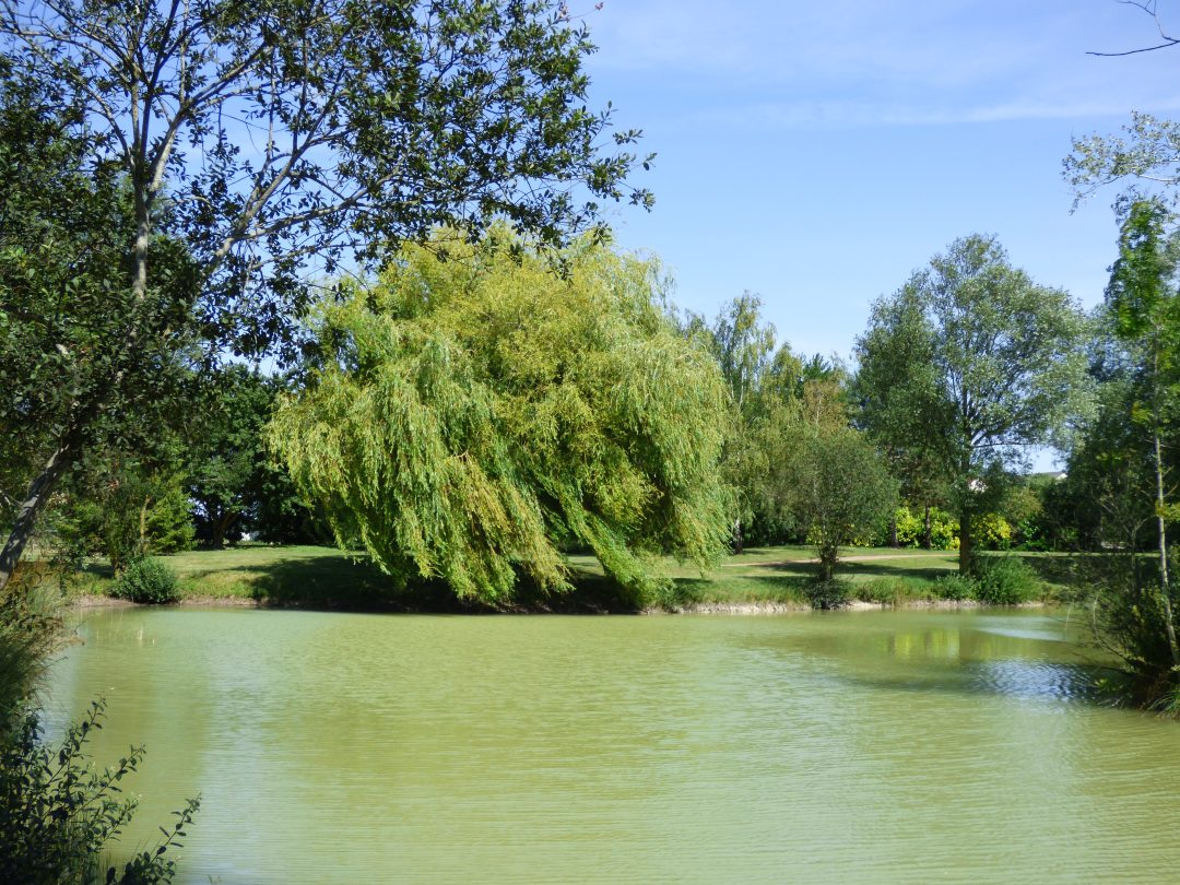 Saint-Aoustrille, Indre