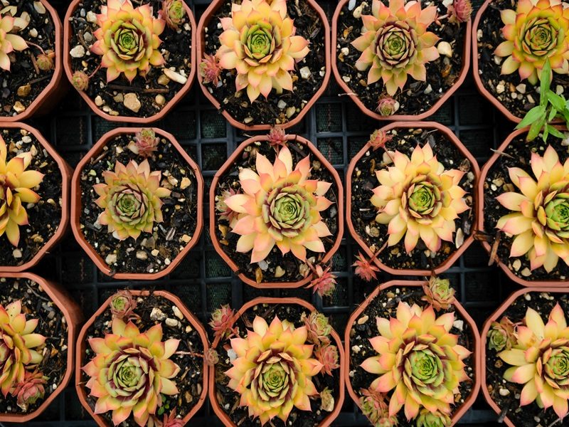 Varennes, Indre-et-Loire