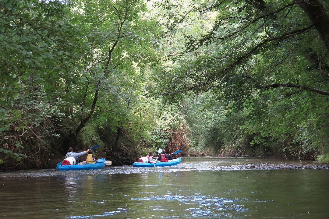 Photo 2 — Arboucave, Landes (40320)