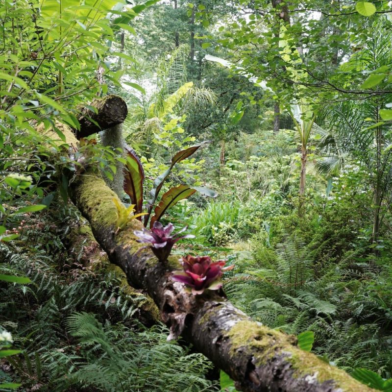 Photo 2 — Saubrigues, Landes (40230)