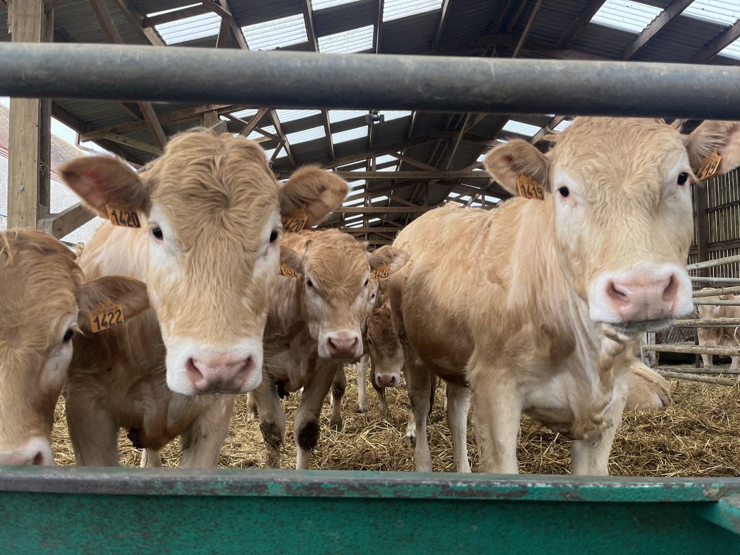 Photo 1 — Villebout, Loir-et-Cher (41270)