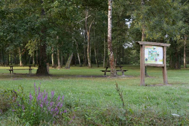 Photo 2 — Villeherviers, Loir-et-Cher (41200)