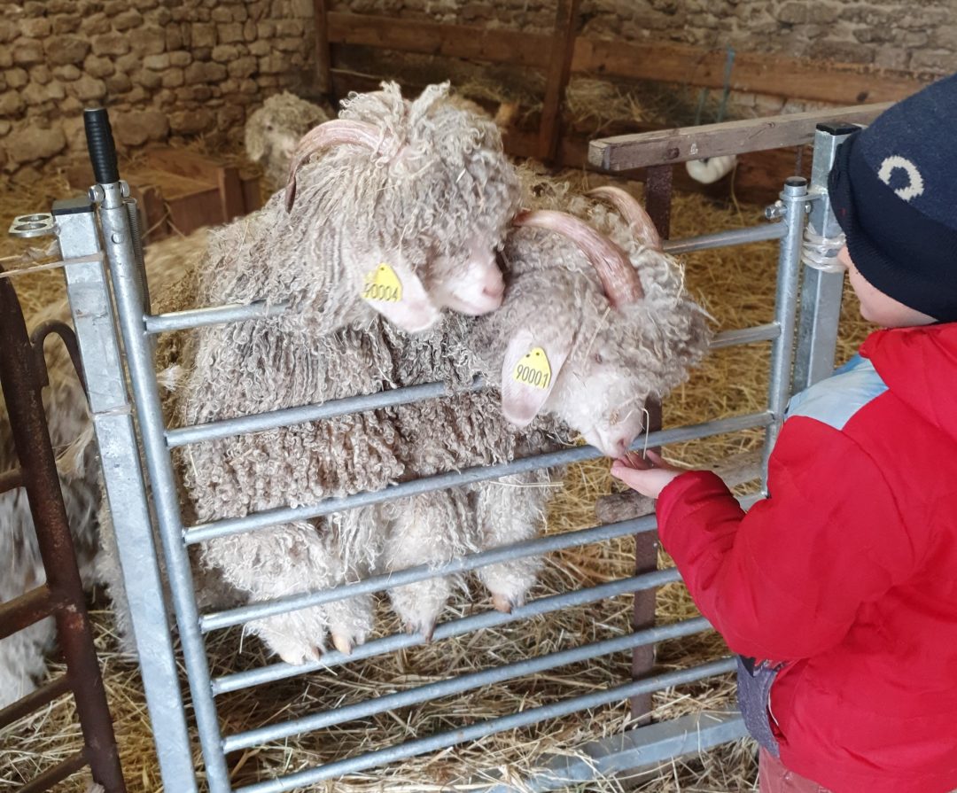 Photo 2 — Chaussy, Loiret (45480)