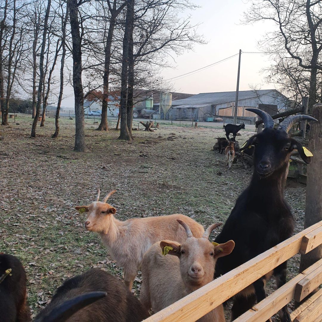 Photo 2 — Girolles, Loiret (45120)