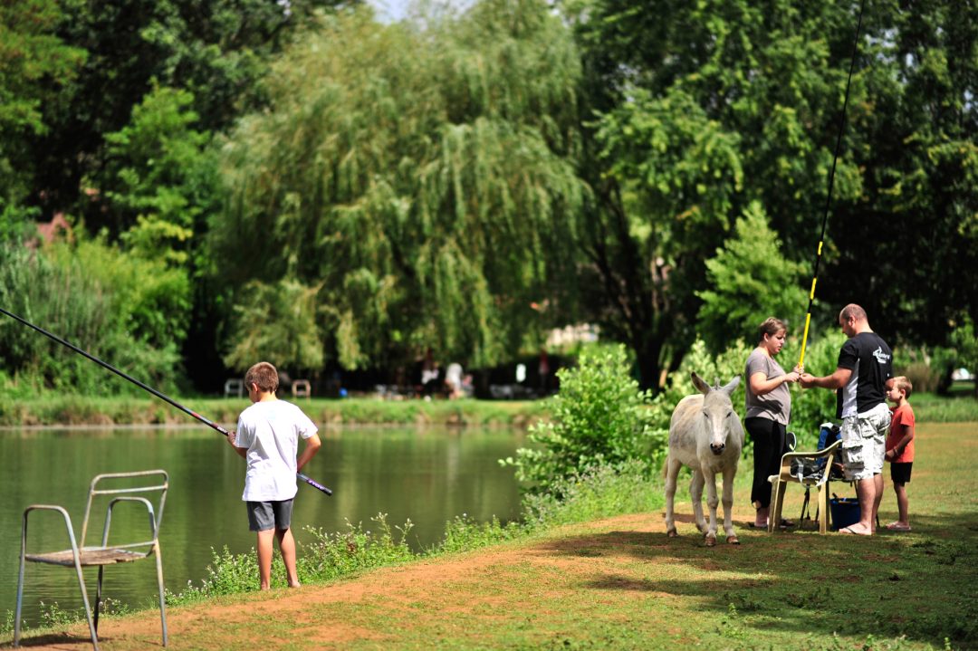 Saint-Martin-Le-Redon, Lot