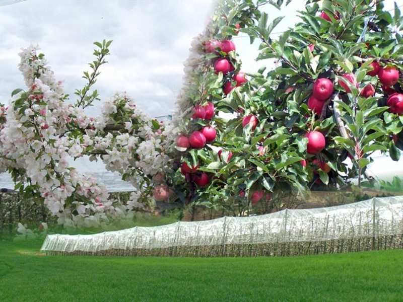 Photo 2 — Puymiclan, Lot-et-Garonne (47350)