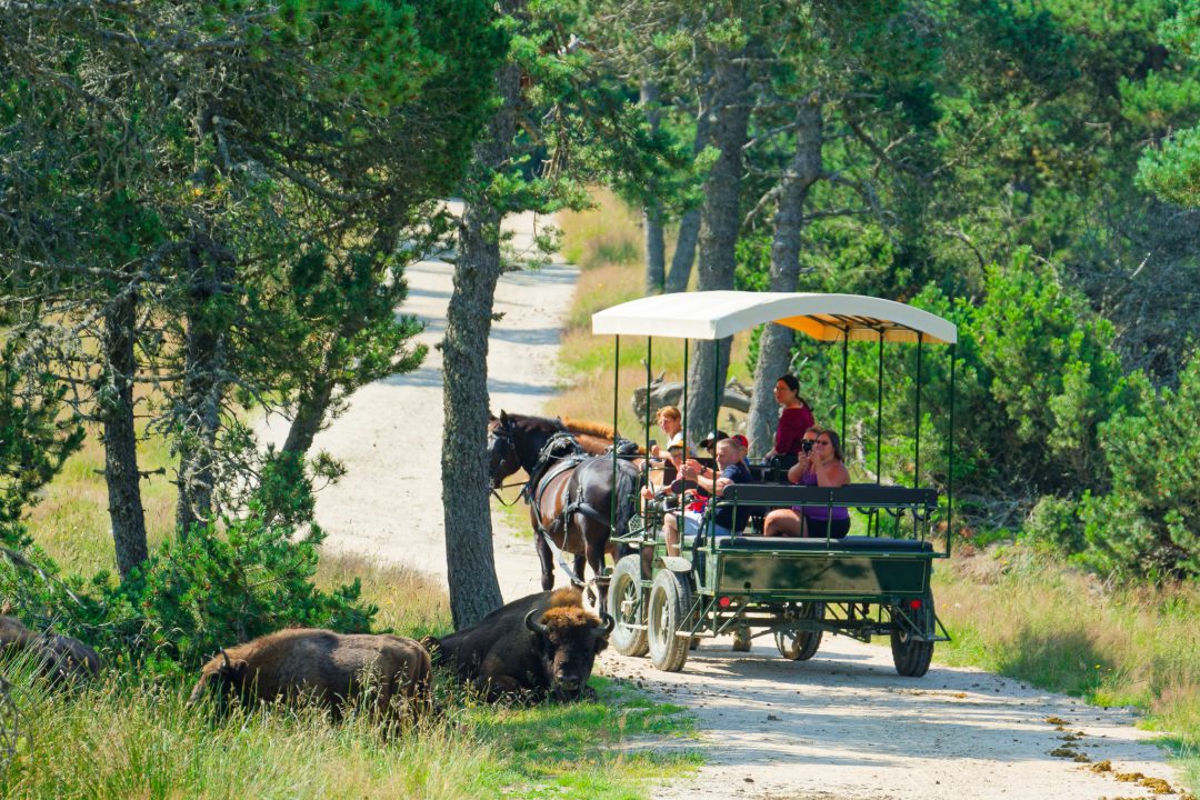 Sainte-Eulalie, Lozère