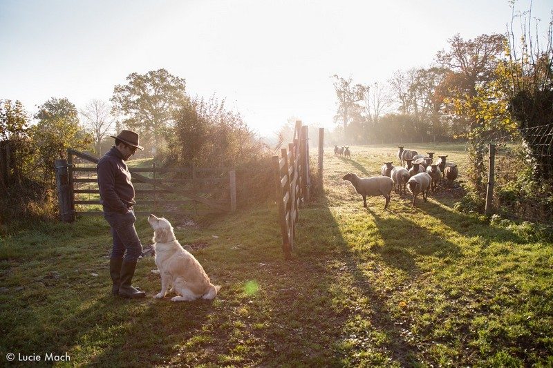 Photo 2 — Cametours, Manche (50570)