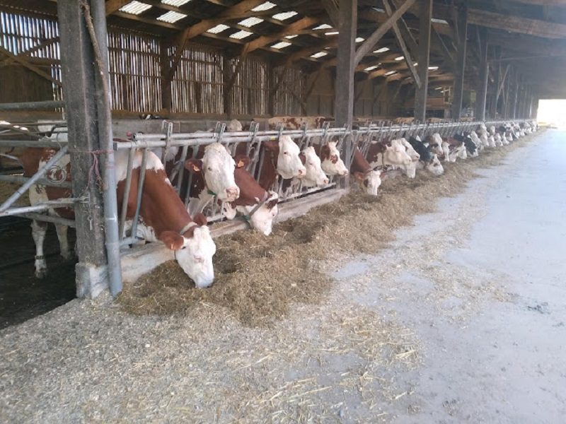 Photo 2 — Cavigny, Manche (50620)