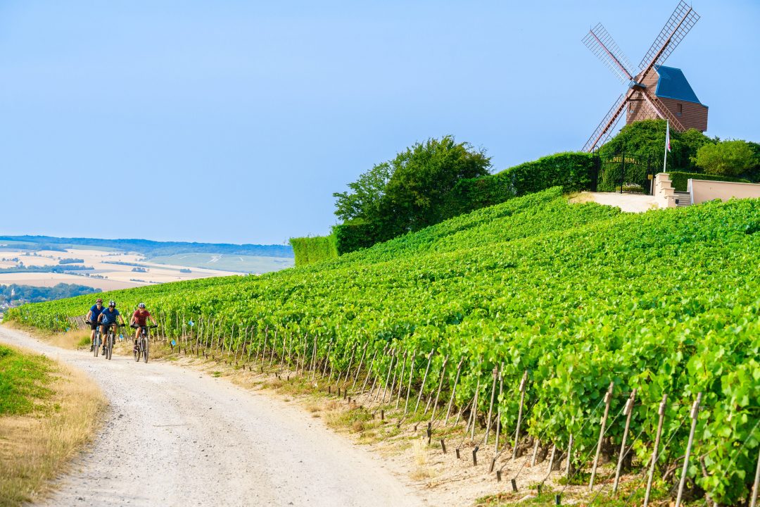 Photo 2 — Verzenay, Marne (51360)