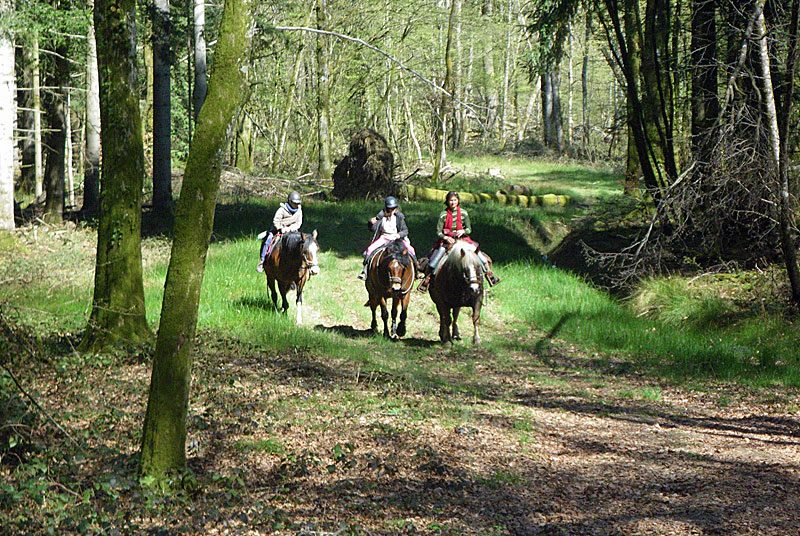 Chaudenay, Haute-Marne