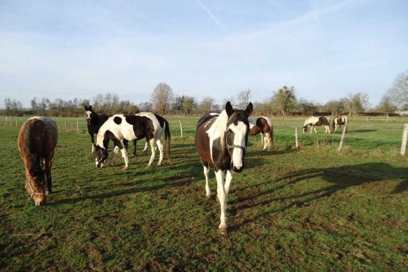 Photo 2 — Rives Dervoises, Haute-Marne (52220)