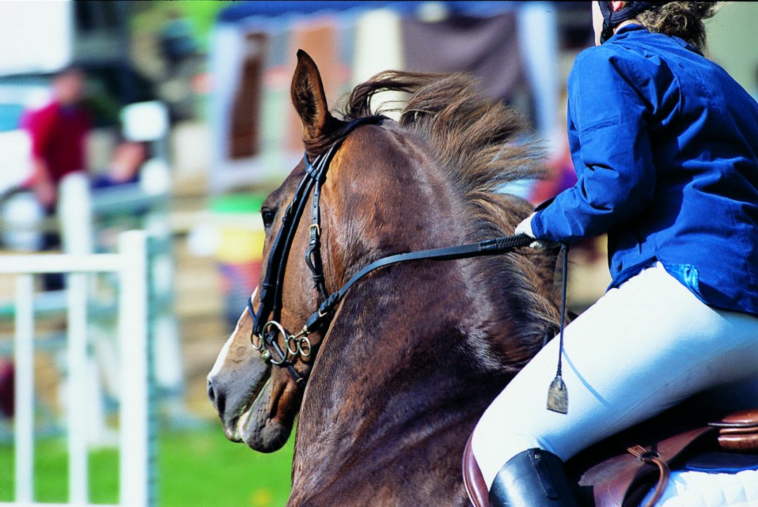 Photo 2 — Rachecourt-sur-Marne, Haute-Marne (52170)