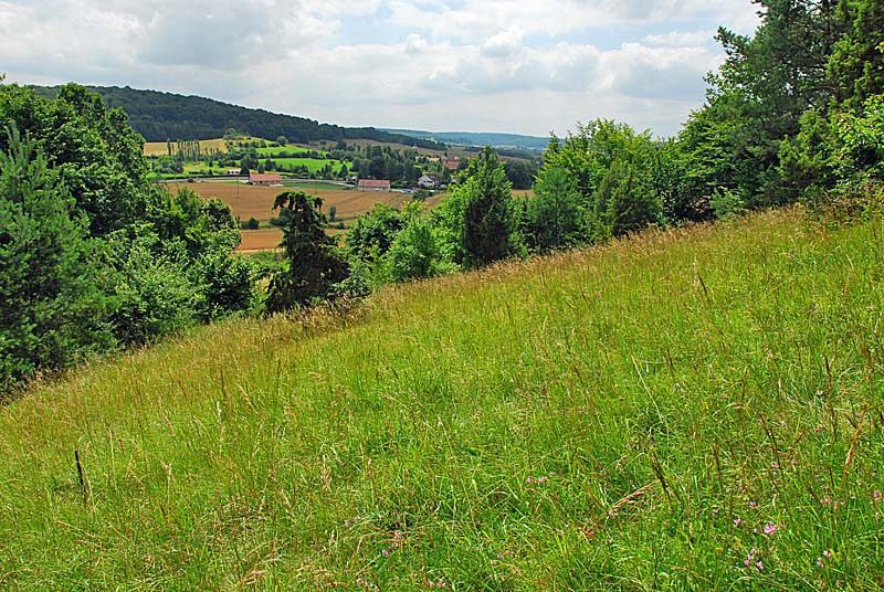 Ternat, Haute-Marne