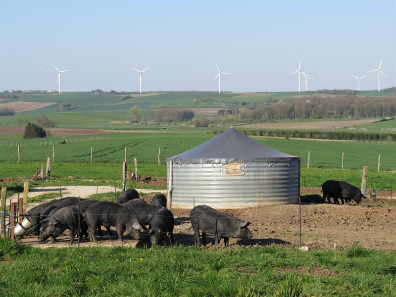 Photo 2 — Gondrexon, Meurthe-et-Moselle (54450)