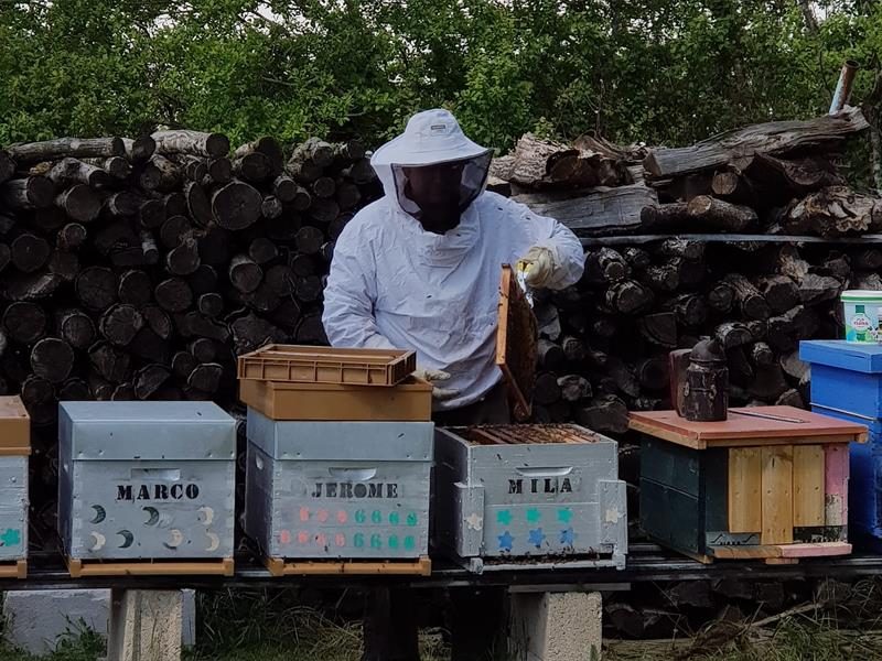 Photo 2 — Badonvilliers-Gérauvilliers, Meuse (55130)