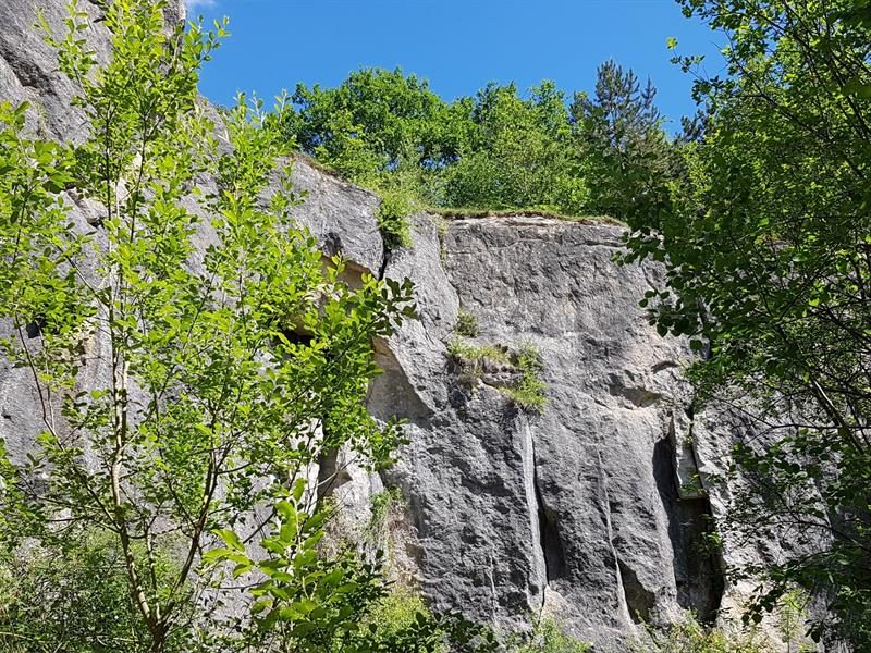 Génicourt-sur-Meuse, Meuse
