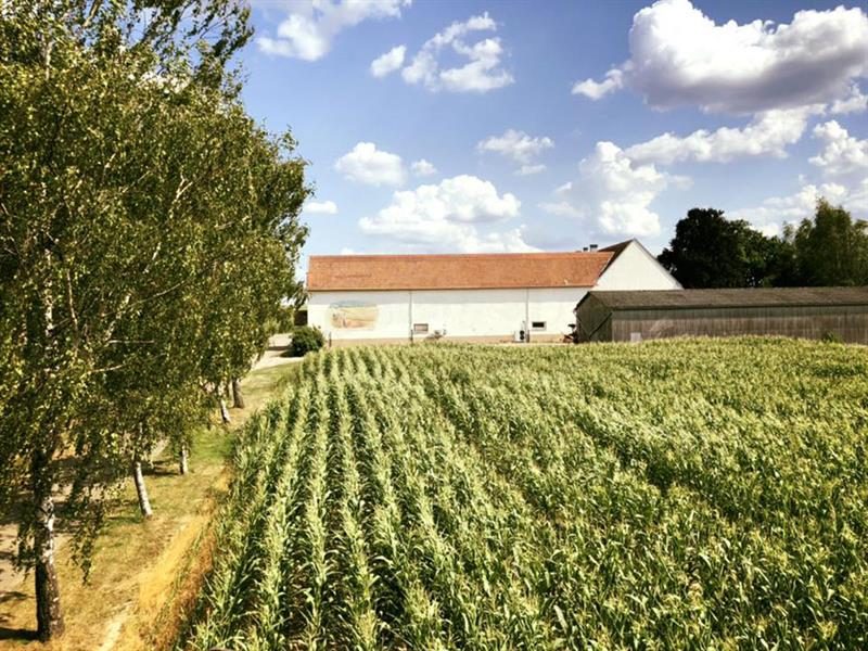 Breidenbach, Moselle