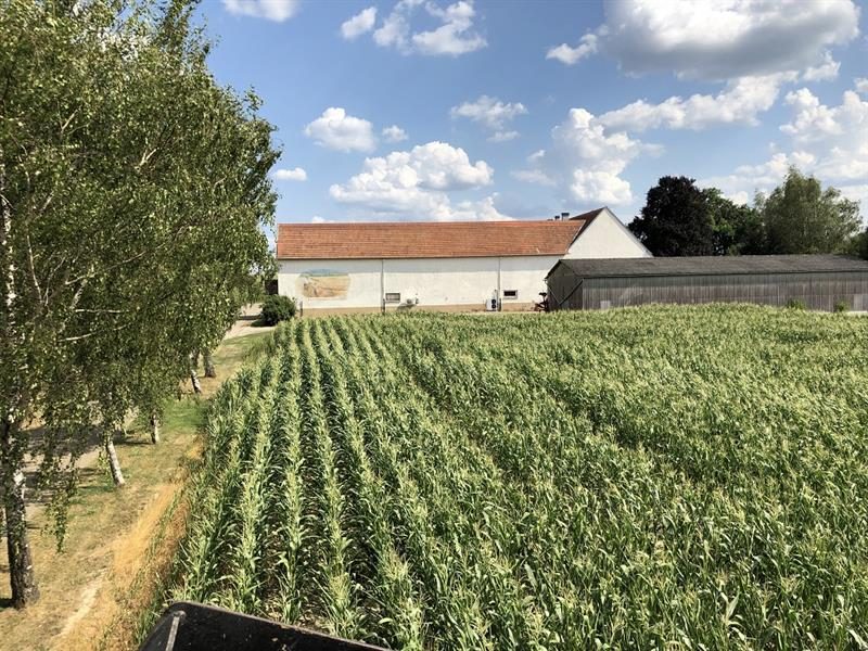 Photo 2 — Breidenbach, Moselle (57720)