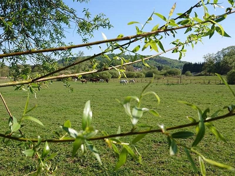 Photo 2 — Dalem, Moselle (57550)