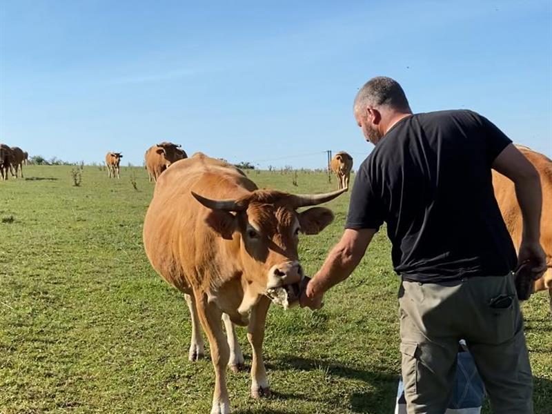 Photo 2 — Freistroff, Moselle (57320)