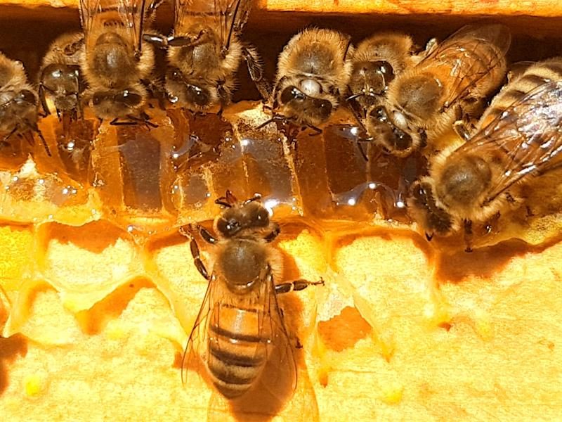 Photo 2 — Rodalbe, Moselle (57340)